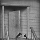 인생극장 이미지