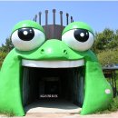 생태습지 이미지