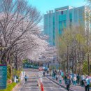 서강대학교 교육대학원 이미지