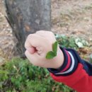 산림놀이 이미지