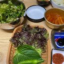 성주생막창 이미지