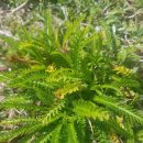 오시리아역 이미지