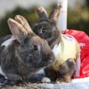 영서농장 이미지