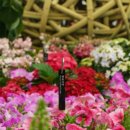 서양화(저녁) 이미지