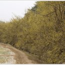 숲실경로당 이미지