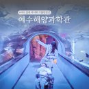 산호수산 | 여수 아쿠아리움 놀거리 많은 해양수산과학관! 여수 아이와 가볼만한곳
