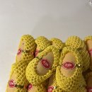 20대 여성 생일선물 리뷰(카카오톡/네이버/쿠팡/29CM 선물하기)