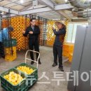 서하농가