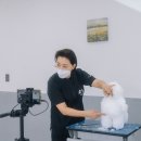 오드리펫 네이버블로그