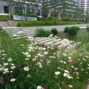 우시장천 이미지