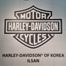 오너카센타 이미지