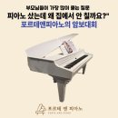 포르테피아노 | 피아노/대조초피아노 학원/예일초피아노/대은초피아노] 피아노 샀는데 왜 집에서 안 칠까요...
