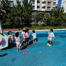 경희대 태권도장 이미지