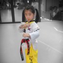 별나무태권도 이미지