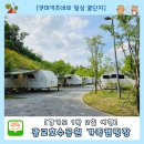 남산공원(관리사무소 옆) | 광교호수공원 가족캠핑장 카라반 예약후기 및 꿀팁 (명당, 주차, 가격, 바베큐 등)