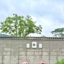 창넓은펜션 | 경주 아기랑 여행 ♡₍ᐢ. ̫.ᐢ₎♡ 감성가득 [늘경주휴] 펜션 🌳 알찬후기