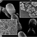 엄마손세탁 이미지