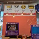 폴리파크 동해점 네이버블로그