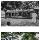 제주이디 이미지