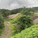 포항시 남구청 이미지