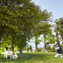 제주미니호텔 이미지