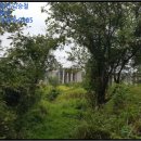 삼현보건진료소 이미지