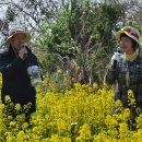 나비야함평가자 이미지