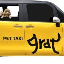 펫택시 이미지