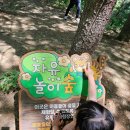 심항산 유아숲체험원 이미지