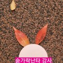 푸른요양보호사교육원 이미지