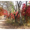 각화저수지 이미지