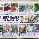동진농장영농조합법인 이미지