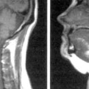 소망이비인후과의원 이미지