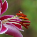 카사블랑카 이미지