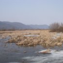 로얄파크여관 이미지