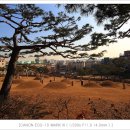 영신군이이묘 이미지