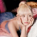 초원 이미지