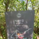 도립제주곶자왈공원~ 마노르블랑카페~ 산방산~ 카멜리아힐.(2019.10. 11) 이미지