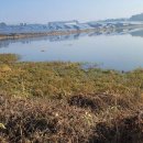 명당 태양광발전소 이미지