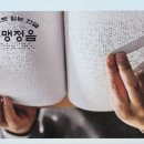 송암 이미지