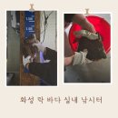 서울근교 바다낚시&이색테이트 ㅣ 낚린이 투어 [화성 락 바다실내낚시터] 솔직 후기 (가격,조과,꿀팁정리)