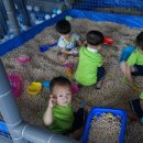 영덕종합정비 이미지