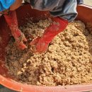 부건농장 이미지