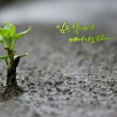 신천지PC 이미지