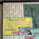 대왕산삼백숙본가 이미지