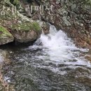 백담 새소리 펜션 이미지