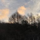 차항1리 마을회관 이미지