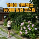 여기저기 잘 먹고 다닌 늦여름 대구 일상