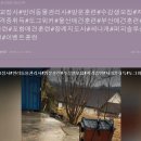 퍼피솔루션 - 반려동물 문화교육센터 (울산) 이미지