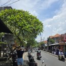 몽키세탁소 이미지